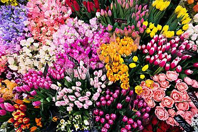 《全境封锁2》新赛季路线图揭晓 第五年内容制作中