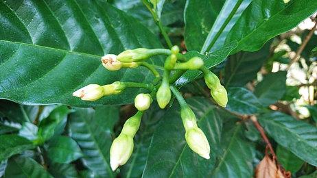 《熔铁少女》公布全新宣传片 主机版今日发售