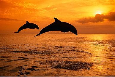 《铁血联盟3》今夏发售 将推130美元战术实体版