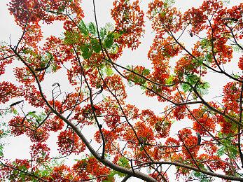 踏上全新旅途 《死亡搁浅》PC游戏通行证预告