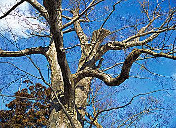 多款新游戏支持DLSS 4多帧生成